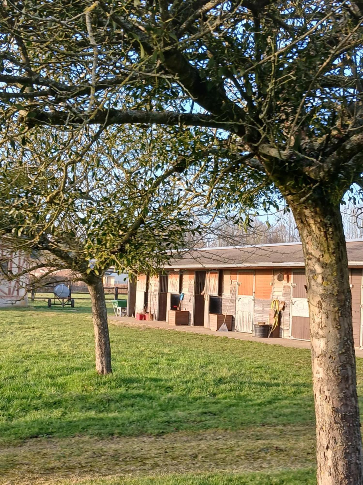 Domaine Des Ifs Bed & Breakfast Le Pin  Exterior foto