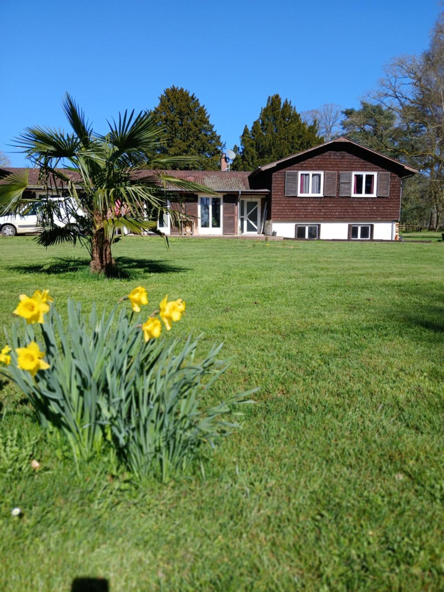 Domaine Des Ifs Bed & Breakfast Le Pin  Exterior foto