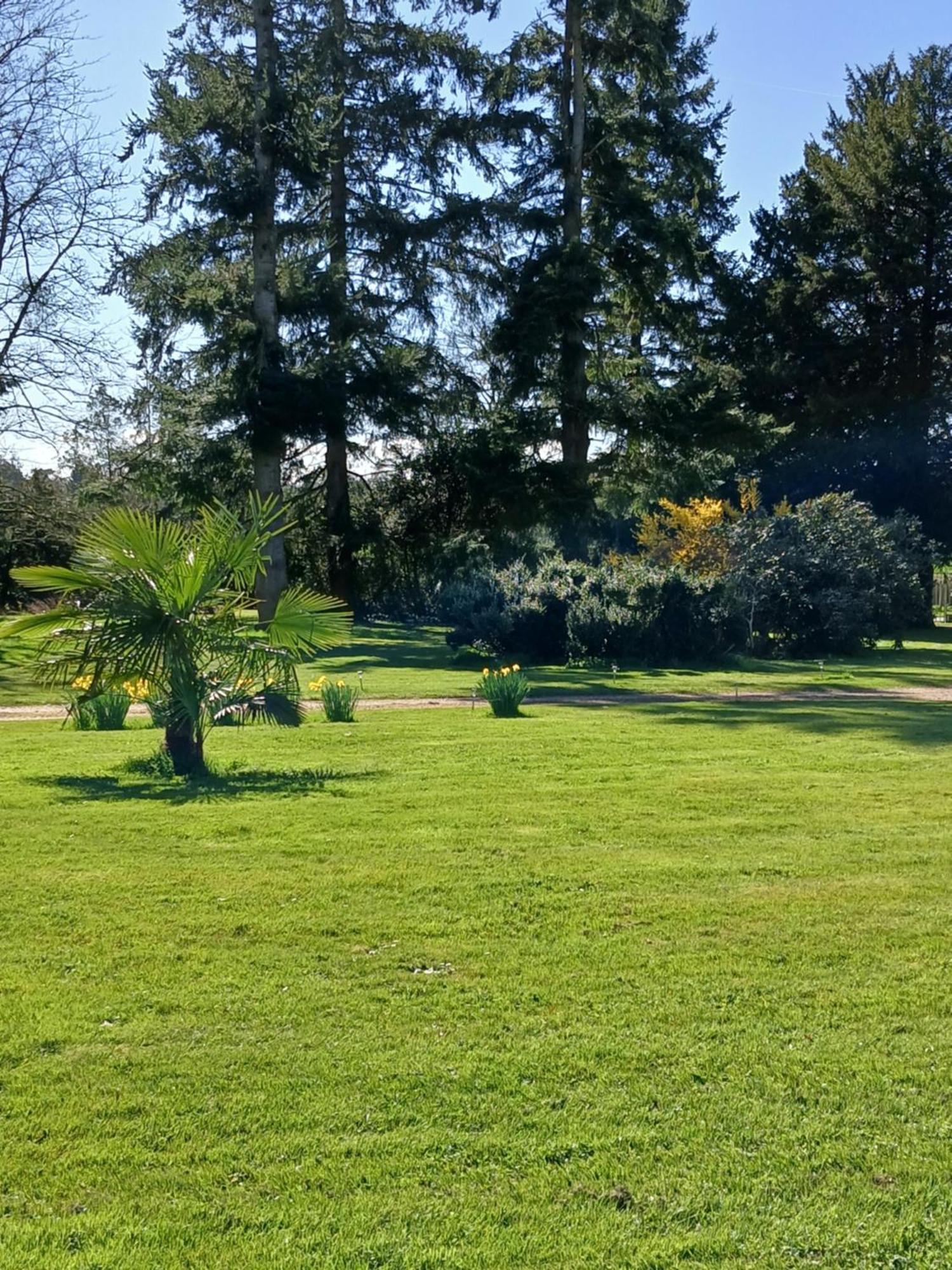 Domaine Des Ifs Bed & Breakfast Le Pin  Exterior foto