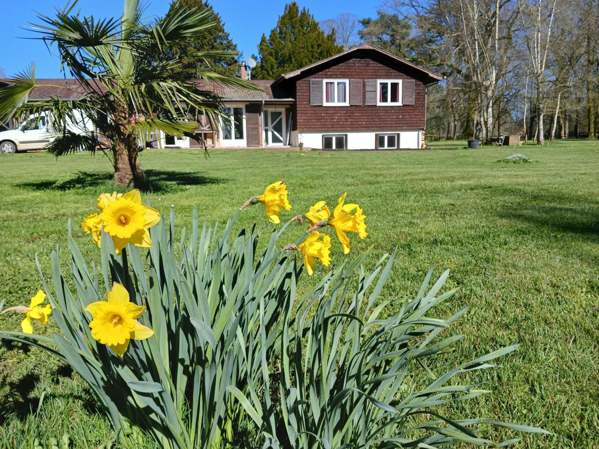 Domaine Des Ifs Bed & Breakfast Le Pin  Exterior foto
