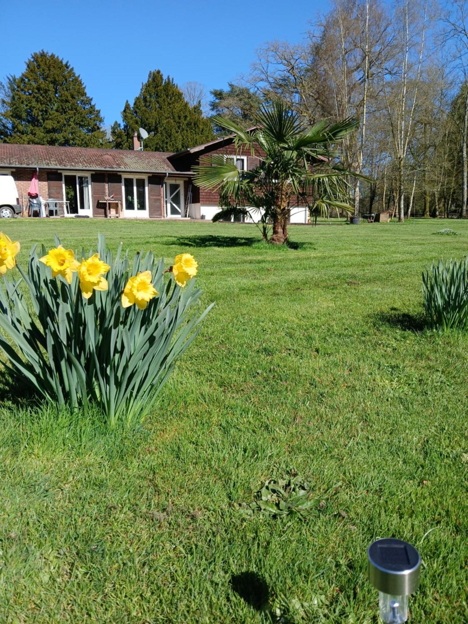 Domaine Des Ifs Bed & Breakfast Le Pin  Exterior foto