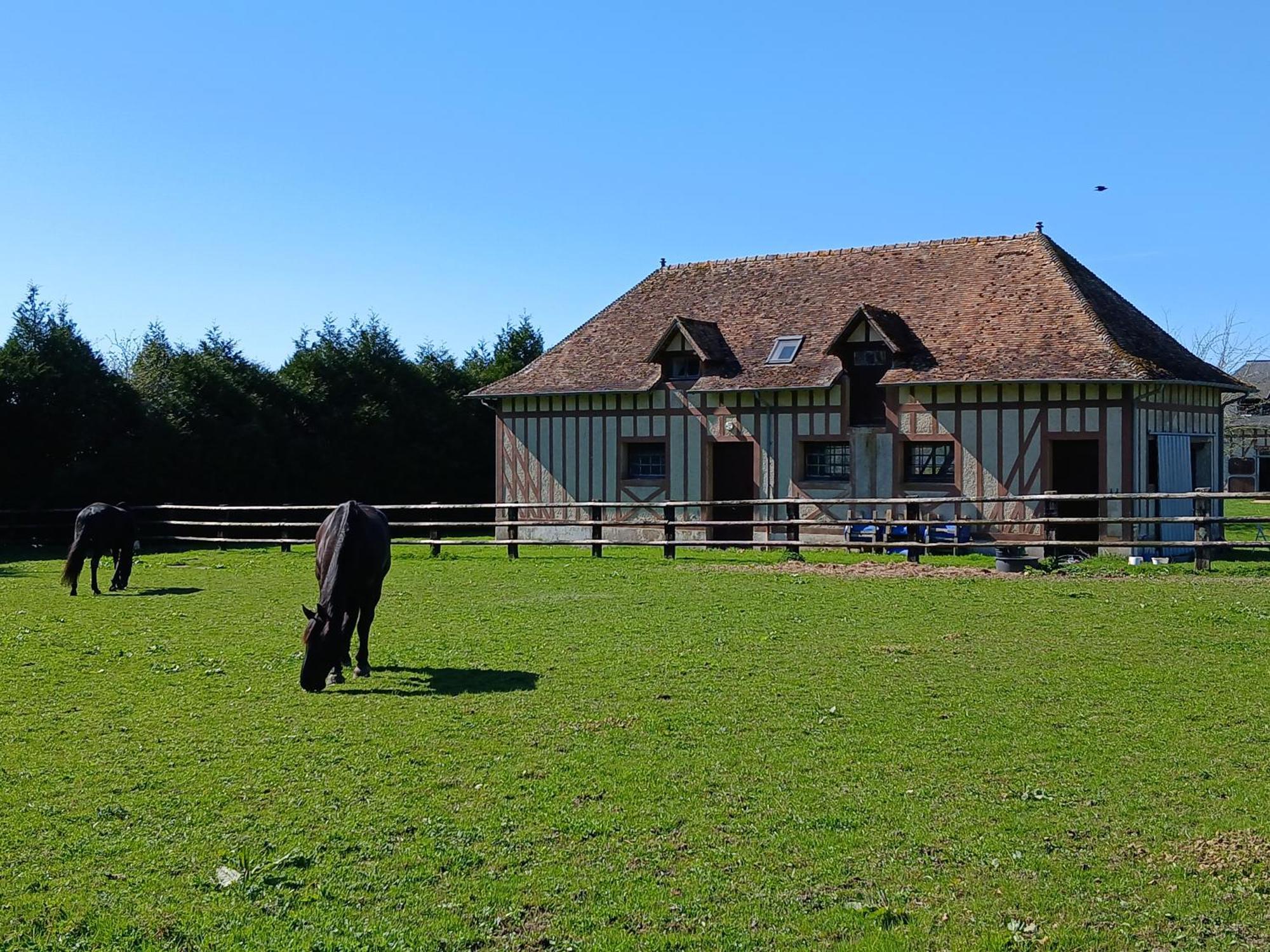 Domaine Des Ifs Bed & Breakfast Le Pin  Exterior foto